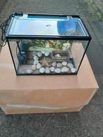 Aquarium voor vissen l.b.h.36 x 22 x 26 cm., Dieren en Toebehoren, Ophalen of Verzenden, Leeg aquarium