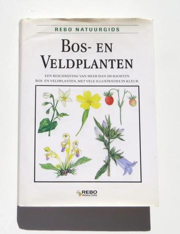 Naslagwerk M4637: Rebo Natuurgids - Bos- en Veldplanten beschikbaar voor biedingen