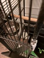 Papegaaien kooi groot stevig, Ophalen, Metaal, Vogelkooi