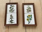 2 tegellijstjes van botanische planten/bloemen, Huis en Inrichting, Ophalen of Verzenden, Gebruikt