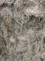 Ronde balen, Dieren en Toebehoren, Meerdere dieren, Schaap