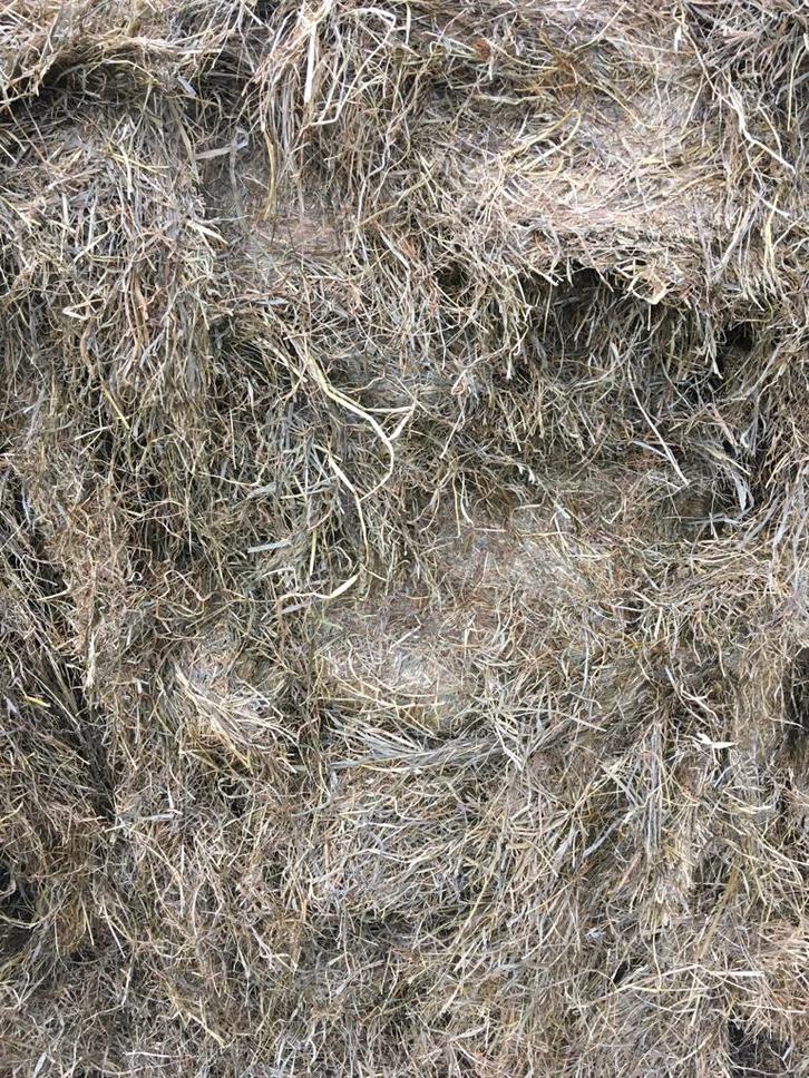 Ronde balen, Dieren en Toebehoren, Schapen, Geiten en Varkens, Schaap, Meerdere dieren