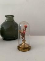 Vintage glazen stolp met droogbloemen en messing voet, Ophalen of Verzenden