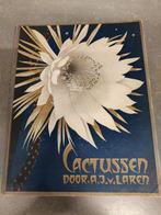 Verkade plaatjesalbum Cactussen - 1931, Ophalen of Verzenden, Gelezen