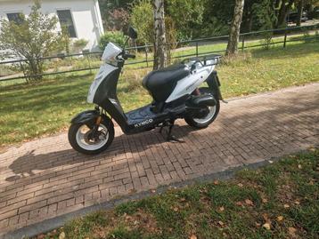 kymco bromfiets scooter bouwjaar eind 2019 beschikbaar voor biedingen