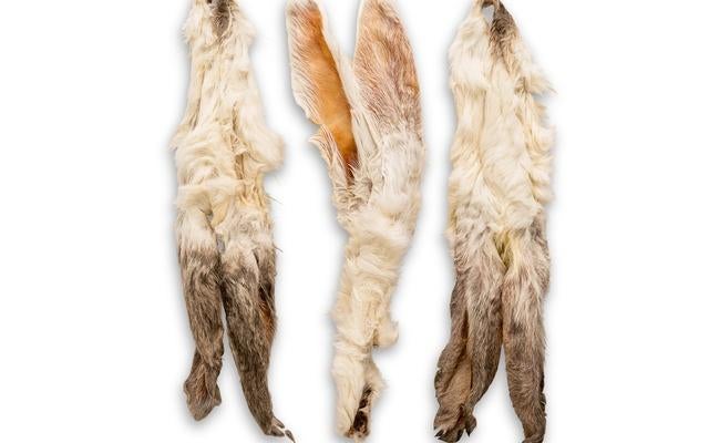 KONIJNENOREN MET VACHT 300G, Ophalen of Verzenden, Hond