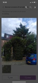 Douglasspar +-2 a 3m3 mooi haardhout 28cm gezaagd, Tuin en Terras, Haardhout, Minder dan 3 m³, Ophalen