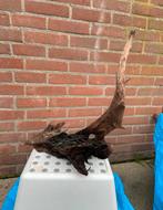 Aquariumhout kienhout XXL, Ophalen of Verzenden, Plant(en), Steen of Hout