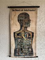 Fritz Kahn - Der mensch als industriepalast - 1926, Ophalen of Verzenden