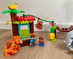 Lego Duplo dierentuin/ tropisch eiland, Kinderen en Baby's, Speelgoed | Duplo en Lego, Ophalen of Verzenden, Zo goed als nieuw