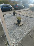 2 potten met lavendel, Ophalen, Rond, Zo goed als nieuw, Aardewerk