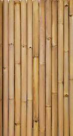 Bamboe schermen, Tuin en Terras, Overige materialen, Nieuw, Ophalen of Verzenden, 200 cm of meer