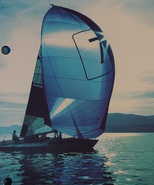 Spinnaker, Watersport en Boten, Zeilen en Zeiltoebehoren, Zo goed als nieuw, Spinnaker, Ophalen