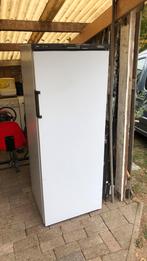 Vriezer, Ophalen of Verzenden, Zo goed als nieuw