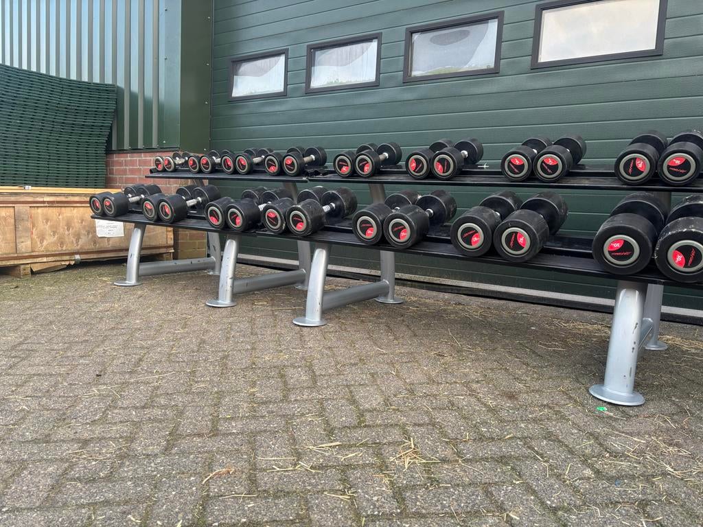 Lifefitness dumbbellset 2-30 inclusief rekken, Sport en Fitness, Fitnessmaterialen, Ophalen, Gebruikt, Overige typen, Lf