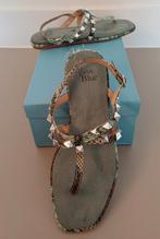 Alma Blue Sandalen Snake Aqua 39, Kleding | Dames, Schoenen, Zo goed als nieuw, Alma Blue, Groen, Sandalen of Muiltjes