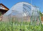 TOP KAS–Tunnelkas–CLASSIC 3x6m+ 6 mm polycarbonaat, Staal, Polycarbonaat, Verzenden, Kweekkas
