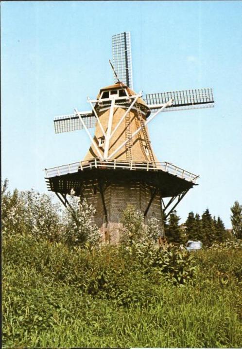 (D-066) Ansichtkaart Erica molen De Heidebloem, Verzamelen, Ansichtkaarten | Nederland, Ongelopen, Drenthe, 1980 tot heden, Verzenden