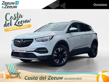 Opel Grandland X 1.2 Turbo Business Ex. | Stoelverw. + koeli beschikbaar voor biedingen