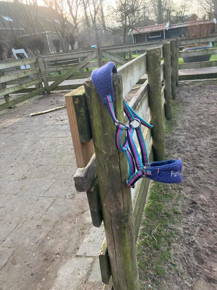 Pony/schetlander halster, Dieren en Toebehoren, Paarden en Pony's | Overige Paardenspullen, Gebruikt, Overige soorten, Ophalen of Verzenden