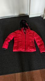 Wellensteyn jas - Kleur Rood - Maat L, Ophalen of Verzenden, Zo goed als nieuw, Rood
