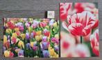 Set 13 BLOEMEN PLANTEN kaarten postcrossing nieuw, Verzamelen, Ansichtkaarten | Themakaarten, Ophalen, 1980 tot heden