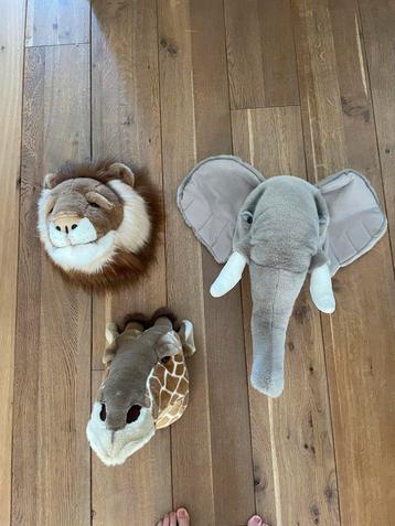 Dierenkoppen voor aan wand beschikbaar voor biedingen