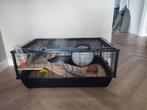Kooi met twee gerbillen, Kooi, Minder dan 75 cm, Zo goed als nieuw, Ophalen