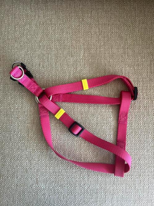 Beeztees hondentuig roze, Dieren en Toebehoren, Hondenhalsbanden en Penningen, Nieuw, Ophalen of Verzenden