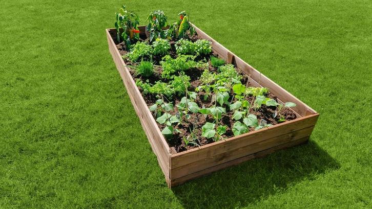 Topkwaliteit Kweekbakken en Moestuinbakken Gratis verzending, Huis en Inrichting, Woonaccessoires | Wandplanken en Boekenplanken