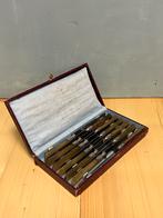 Vintage messenset doosje heft been of hoorn, Verzenden, Zo goed als nieuw, Rvs of Chroom