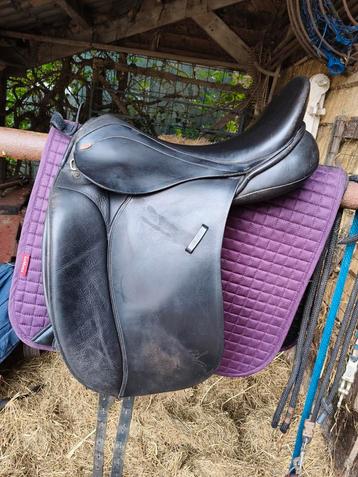 Kentaur Penelopa 18 inch beschikbaar voor biedingen