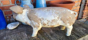 Oud beeld VARKEN Slagerij Beenhouwerij Slachterij  60 cm l beschikbaar voor biedingen