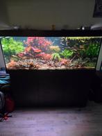 Juwel rio 450 - chihiros wrgb 1500 +biomaster 600 +250biomas, Dieren en Toebehoren, Vissen | Aquaria en Toebehoren, Ophalen, Zo goed als nieuw