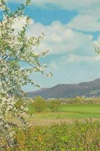P038 ansichtkaart landschap1976, Ophalen of Verzenden, 1960 tot 1980, Gelopen, Natuur