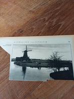 Knipsel  Zaans landschap molen 1931, Ophalen of Verzenden, 1920 tot 1940, Knipsel(s)