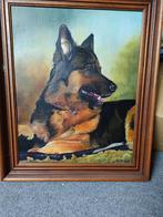 Olieverf Schilderij Duitse Herder, Antiek en Kunst, Kunst | Schilderijen | Klassiek, Ophalen of Verzenden