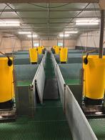 Kunststof hokinrichting 32 biggen hokken