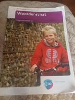 Groep 6 citotoets citobegrijpend lezen opgavenboekje E6 + an, Ophalen of Verzenden, Gelezen
