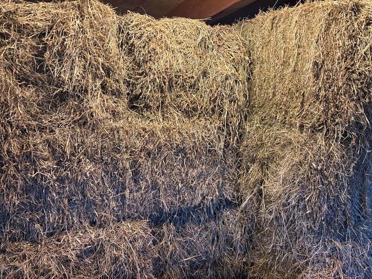 Biologisch hooi en kuilgras, Dieren en Toebehoren, Dierenvoeding, Vee, Ophalen