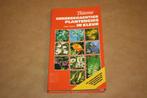 Geneeskrachtige plantengids in kleur - Thieme - Dieter Podle