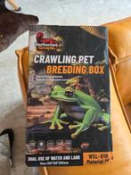 Klein terrarium Insect, spin, Ophalen of Verzenden, Nieuw