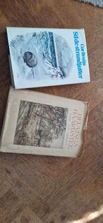 Twee oude Nederlandse boeken, Ophalen of Verzenden, Cor Bruijn, Joh. Hidding