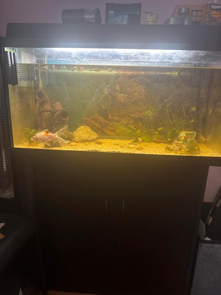 Juwel aquarium met kast compleet, Dieren en Toebehoren, Vissen | Aquaria en Toebehoren, Nieuw, Leeg aquarium, Ophalen