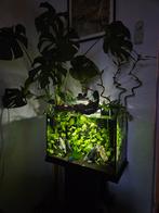 Superfish start 70, Dieren en Toebehoren, Vissen | Aquaria en Toebehoren, Ophalen, Gebruikt, Leeg aquarium