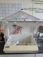 VOGELKOOI, Dieren en Toebehoren, Vogels | Hokken en Kooien, Ophalen, Metaal, Vogelkooi