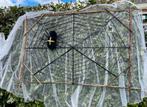 Halloween Decoratie: Spinnenweb met Spin, Huis en Inrichting, Ophalen, Zo goed als nieuw