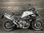 Triumph TIGER 1200 GT PRO (bj 2024), 1160 cc, Bedrijf, Meer dan 35 kW, Toermotor