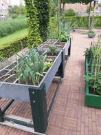 Twee Makkelijke Moestuinbakken Hero Light, Ophalen, Kunststof, Gebruikt, 100 cm of meer