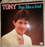 Tony - Free as a bird, Verzenden, Gebruikt, 12 inch